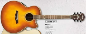 2008 AEL14E RVV