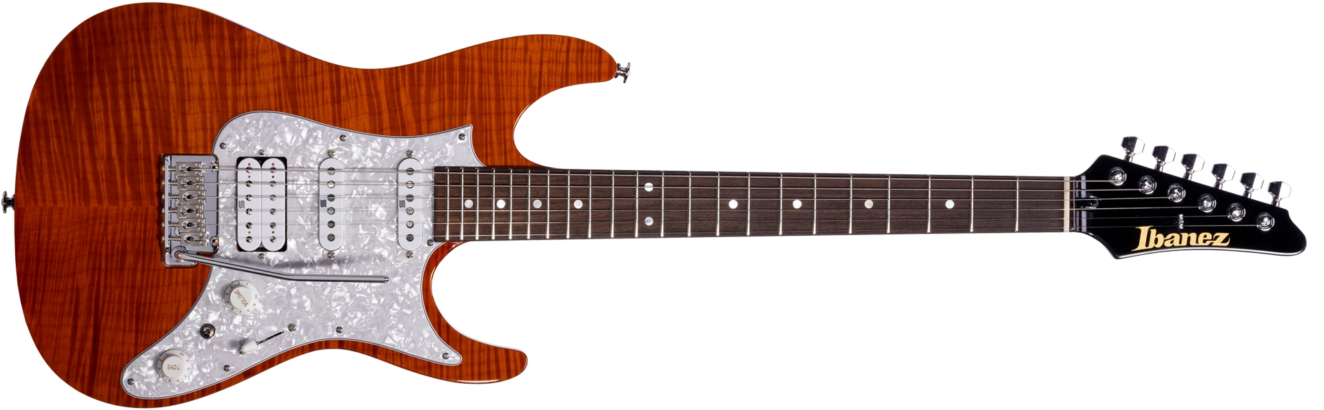 LACS1 | Ibanez Wiki | Fandom