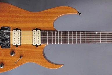 ARX320 | Ibanez Wiki | Fandom