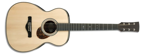 AVM1 | Ibanez Wiki | Fandom