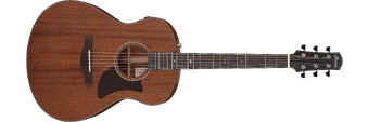 AAM740E | Ibanez Wiki | Fandom