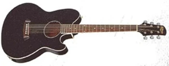 TCY10 | Ibanez Wiki | Fandom
