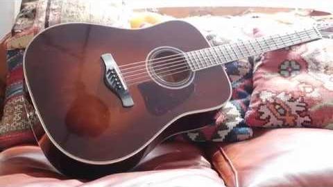 Ibanez avd hot sale
