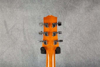 EW20QM | Ibanez Wiki | Fandom