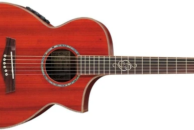 AEW23ZW | Ibanez Wiki | Fandom