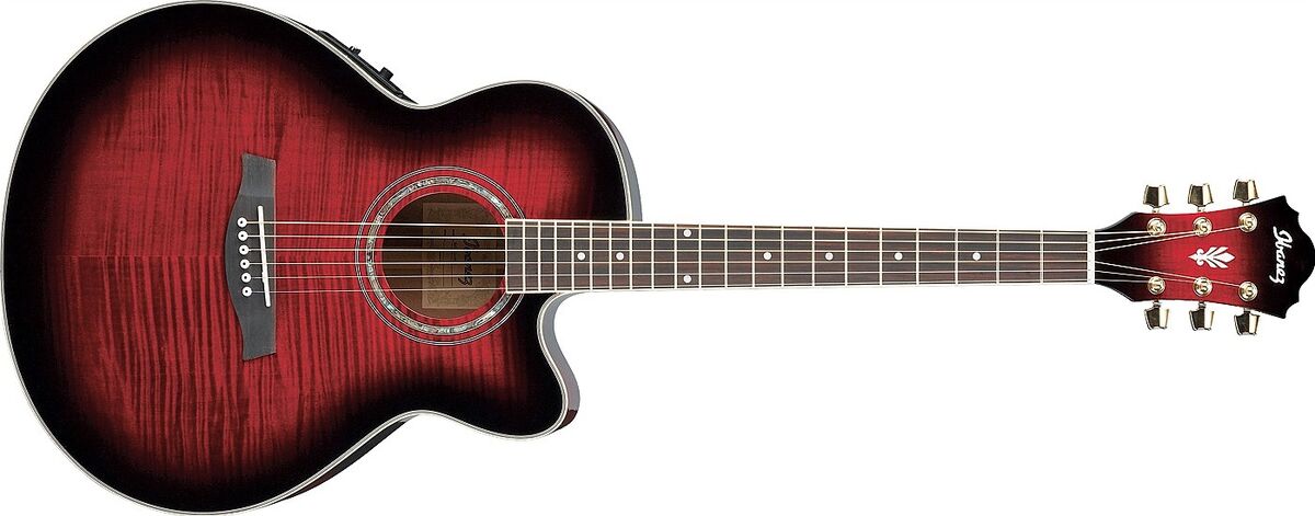 AEL20 | Ibanez Wiki | Fandom