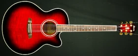 2002 AEL20M-TRS