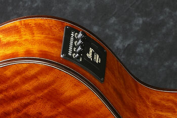 Ibanez アコースティックギター カッタウェイ　AEW21VK−NT1201 AEW21VK | Ibanez Wiki | Fandom