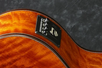 2014 AEW23MV NT preamp