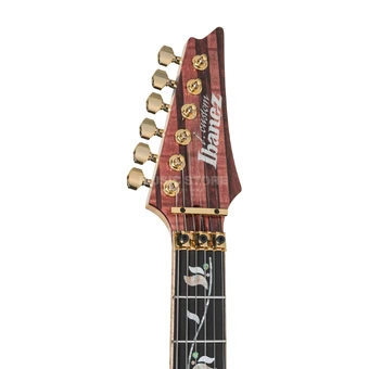 RG202404JC | Ibanez Wiki | Fandom