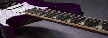 LACS11 inlays