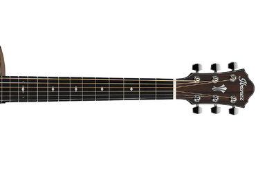 AE205JR Ibanez Wiki Fandom