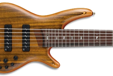 Ibanez SR1406T-VNF Premium 6弦ベース Ibanez アイバニーズ SR1406T / VNF < Used / 中古品