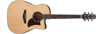 AAD170CE Ibanez Wiki Fandom