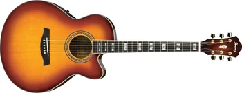 AEL30SE | Ibanez Wiki | Fandom