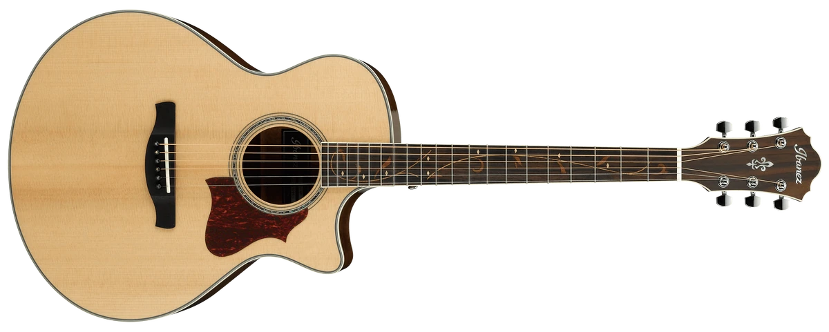 AE205J | Ibanez Wiki | Fandom