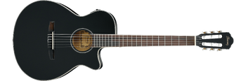 AEG8TNE Ibanez Wiki Fandom
