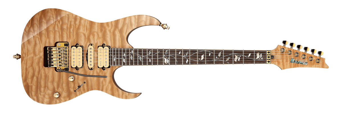 SRG420FMZ | Ibanez Wiki | Fandom