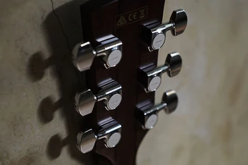 Gotoh SG301 tuners