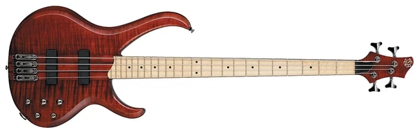 2009 BTB570MFM-CN