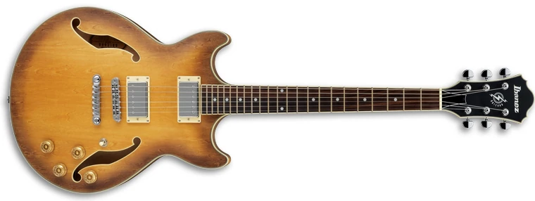 AM73D | Ibanez Wiki | Fandom