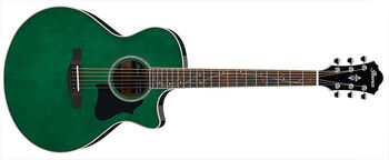 Ibanez ae205 deals