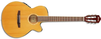 AEG6TN | Ibanez Wiki | Fandom