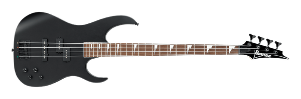 RGB300 Ibanez Wiki Fandom
