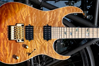 RG2450MZ | Ibanez Wiki | Fandom
