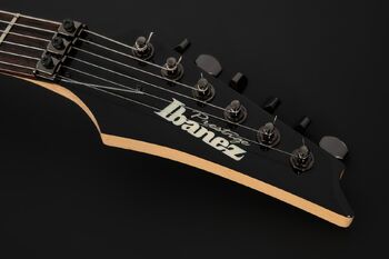 RGA220Z | Ibanez Wiki | Fandom