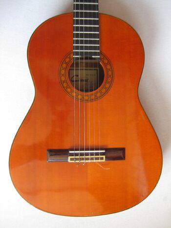 396 | Ibanez Wiki | Fandom