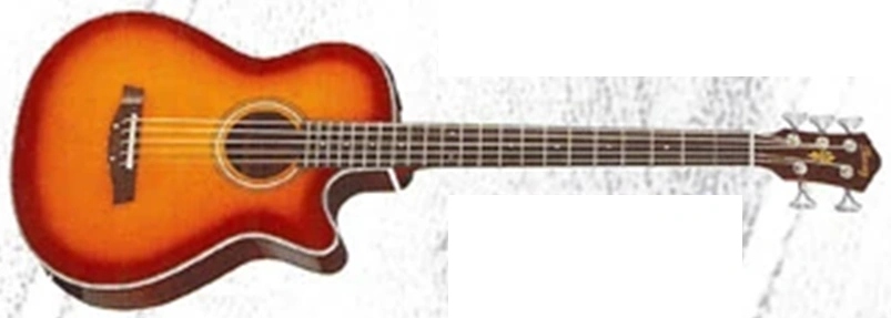 AEB455 | Ibanez Wiki | Fandom