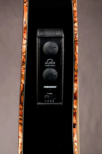 2011 EP10 electronics