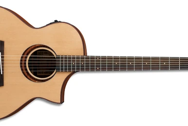 AEW22CD | Ibanez Wiki | Fandom