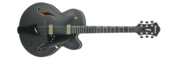 芸能人愛用アイテム特集 | AFC125 Ibanez Fandom | Wiki ギター