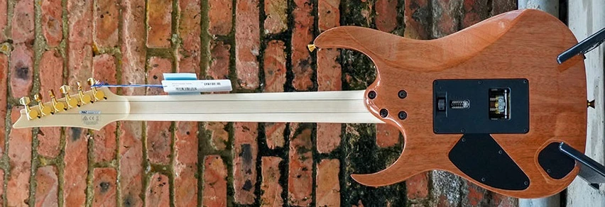 RG8550MZ (2020) | Ibanez Wiki | Fandom