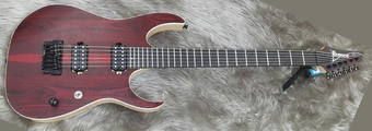Ibanez ギター　RGR621xw Ibanez RGR621xw / Electric Guitar | eBay