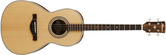 Ibanez avt1 tenor guitar sale