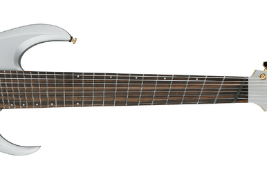 RG2670Z | Ibanez Wiki | Fandom