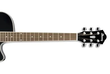 AEL20 | Ibanez Wiki | Fandom