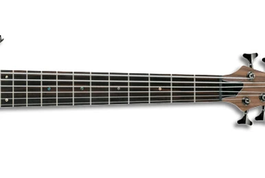 BTB845F | Ibanez Wiki | Fandom