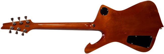 LACS5 rear
