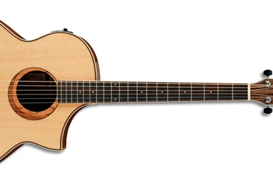 AEW22CD | Ibanez Wiki | Fandom