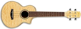 2009 UEW10QM 3T 01