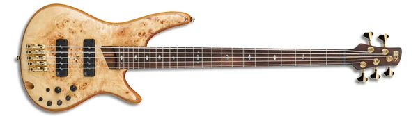 SR1605 | Ibanez Wiki | Fandom
