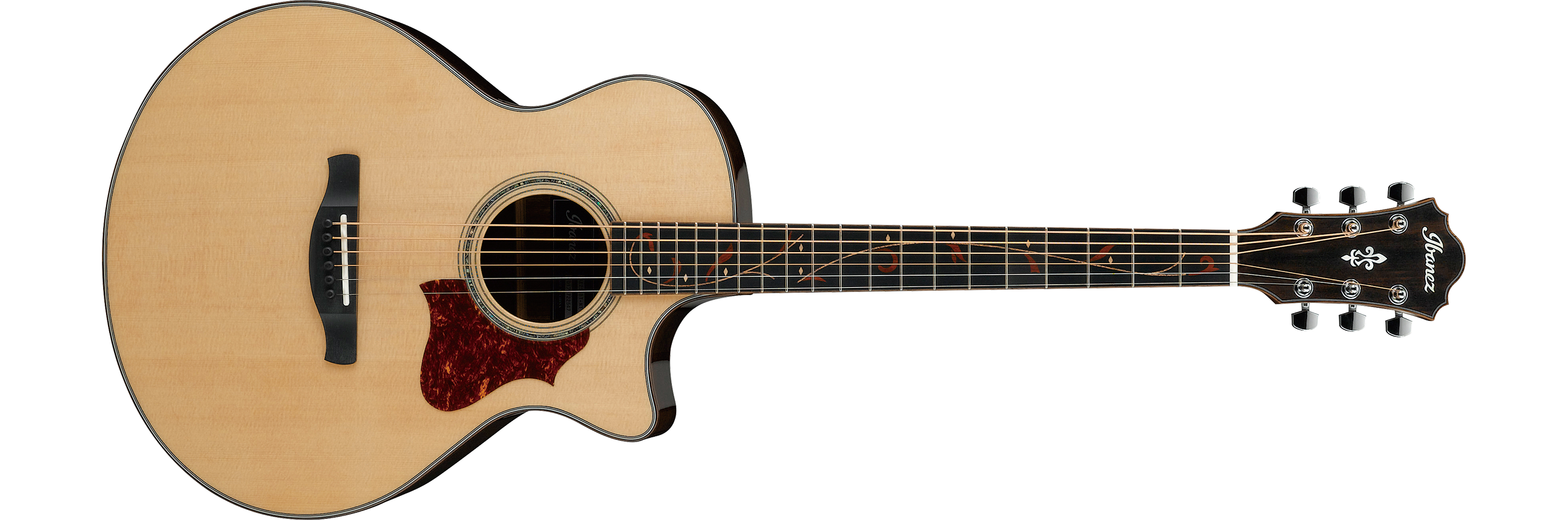 AE255BT | Ibanez Wiki | Fandom AE255BT | Ibanez Wiki | Fandom