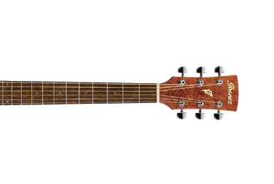 PF10 | Ibanez Wiki | Fandom