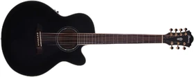 AEL207E (2014) 