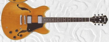 AS80 (1994–2002) | Ibanez Wiki | Fandom