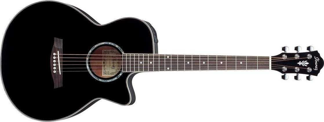 AEG10 | Ibanez Wiki | Fandom